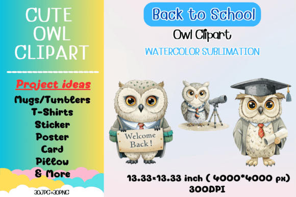 Enhance Your Back to School Projects with the Back to School Owl Clipart Bundle